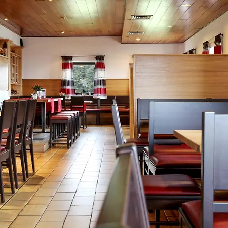 Gasthof-pension-alpe 酒店